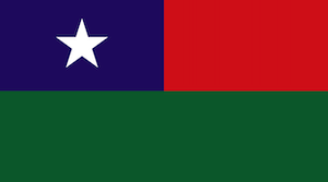 Flag of PNA.